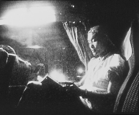 ハイウェイで泳ぐ