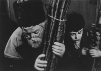 ルカじいさんと苗木