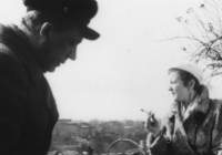 戦争のない20日間